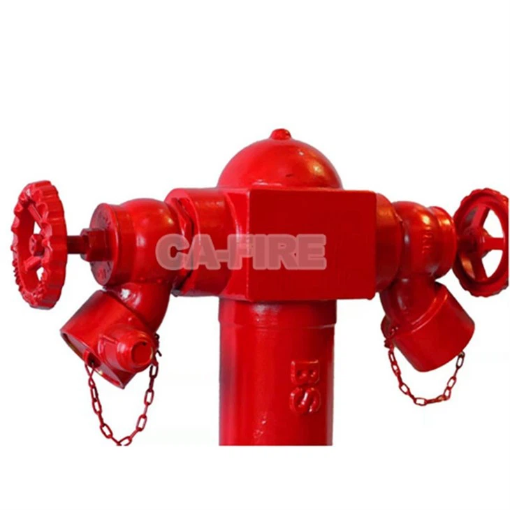 BS750 (6)
